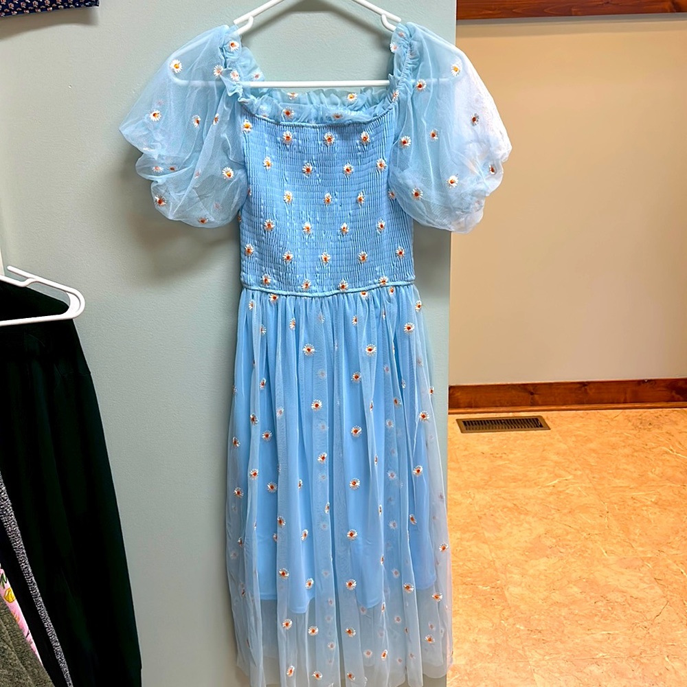 Daisy embroidered dress